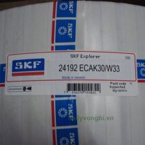 Vòng bi bạc đạn SKF 24192ECA/W33